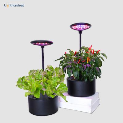 China Smart Planting Light Up Hydroponic Grow System Mini Smart Garden Plant Flower Indoor Herb Garden for sale