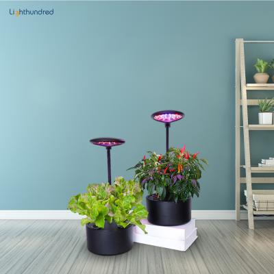 China Height Adjustable Mini Garden Smart Herb Indoor Hydroponic Smart Garden With Plant Grow Light for sale