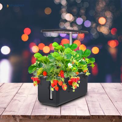 China Art Decor Hydroponic Growing Systems Indoor Smart Garden With Led Grow Lightweight Hydroponic Greenhouse System for sale