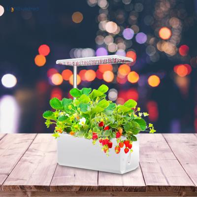 China Art Decor Indoor Hydroponic Smart Garden Grow Kit Led Light System Hydroponic Indoor Mini Smart Garden for sale