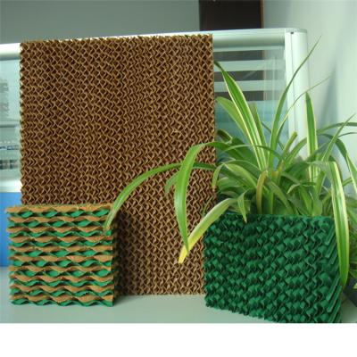 China Farms Factory Supplier Cellulose Honeycomb Evaporative Cooling Pad For Poultry for sale