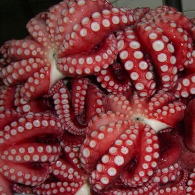 China Indonesia Origin IQF Flower Delicious Frozen Sushi Madako Frozen Octopus Flower for sale