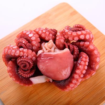 China Wholesale Raw Size FROZEN Delicious Large Seafood Live Octopus Matako for sale