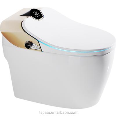 China European Luxury Double-Flow Bathroom Toilet Bidet Smart Wc Toilet For Hotel for sale