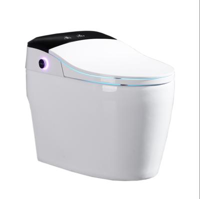 China Double-flow Bathroom Wc Smart Electric Toilet Bidet One Piece Toilet for sale