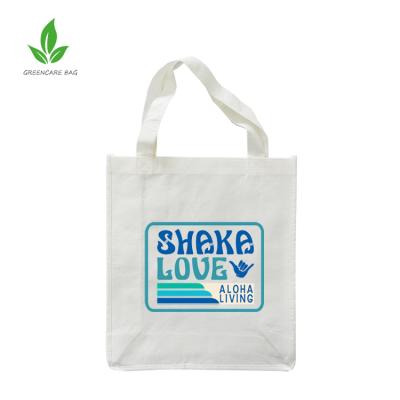 China Biodegradable Biodegradable Bags For Tote Shopping Recycled Bags Promotion Bamboo Nonwoven Bag for sale