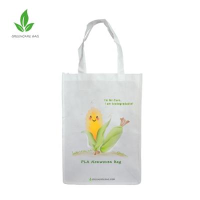 China Eco-Friendly Biodegradable Foldable Nonwoven PLA Bag for sale