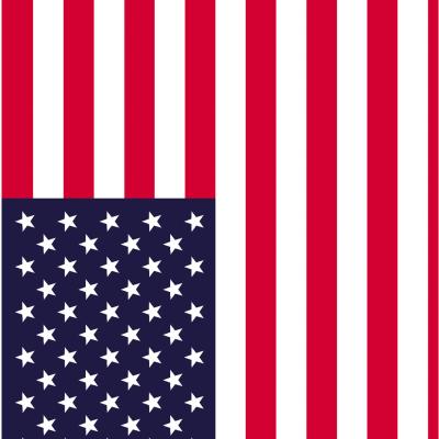 China USA Flag Water Transfer PRINT Stand Printing Hydrographic Films for sale