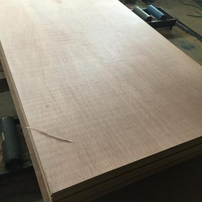 China Industrial plywood 12mm 15mm 19mm used in furniture packaging flooring doors sideboards for sale