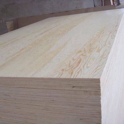 China Low price 2440x1220 high quality building grade birch veneer plywood plywood sheet furniture glue industrial for sale