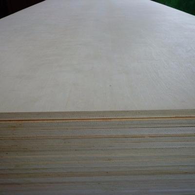 China 6 to 24mm Thickness Industrial Veneer Grade Bintangor Okume Birch High Quality Commercial Plywood for Furniture for sale