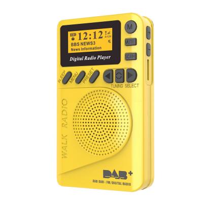 Cina PORTABLE FM Digital Demodulator Portable MP3 Player P9 Mini Pocket DAB Digital Radio in vendita