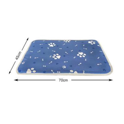 China Cheap Heating Stocked Durable Washable Puppy Cat Blanket Throw Dog Fleece Blanket Warm Soft Fluffy Blanket Pet for sale