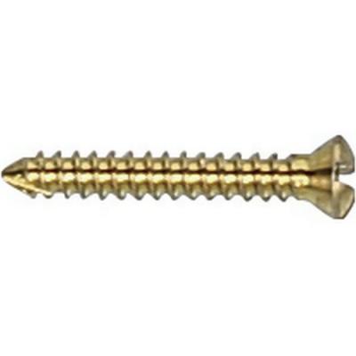 China Veterinary Operation CE & ISO Marked Bone Surgery 1.1mm Veterinary Cortical Self Tapping Screw Trauma Orthopedic Implant for sale