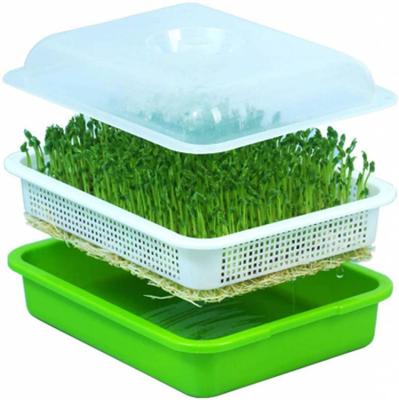 China Eco-friendly Seed Planting Price Best Seed Growing Tray Seed Germination Tray BPA Free Nursery Tray For Seedling Planting Suit For Garden Home Office for sale