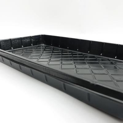 China Eco-friendly Seed Planting PET 1020 Plant Germination Seedling Tray With Holes For Hydroponics Growing for sale