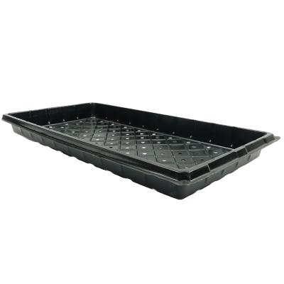 China Planting Flowers ABS Vacuum Forming Nursery Tray Hydroponic Seeding Planting Plastic White Plastic Tray for sale