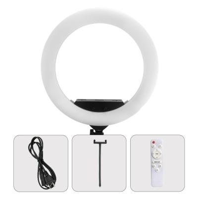 China de Camera Ring Light With Wireless Remote 95ra van 10000lux Selfie 100 Watts Te koop