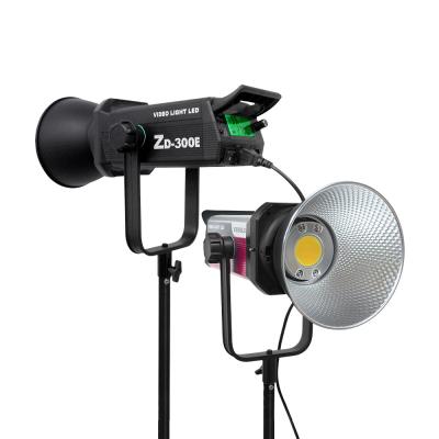 China 300w dual color temperature portable fill light LED suitable for live shooting fill light for sale