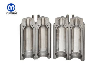 China Steel cavity plastic disinfector 2 water bottle mould/PET bottle blow molding for sale