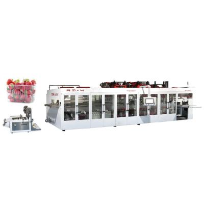 China Plastic Seeding Tray Meat Tray Thermoforming Vacuum Packing Machine for sale