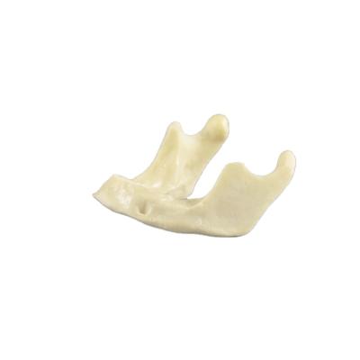 China China Wholesale Realistic Human Simulation Dental Implant Human Training Model With Manufacturer Price for sale