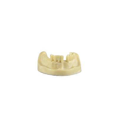 China Cheap Factory Price Realistic Human Simulation Forming Lower Jaw Anatomical Educational Dental Model With High Quality for sale