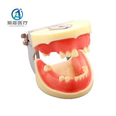 China Human Simulation Factory Price Manufacturer Supplier Dentist Training Typodont Realistic Dental Implant Practice Model With Best Prices for sale