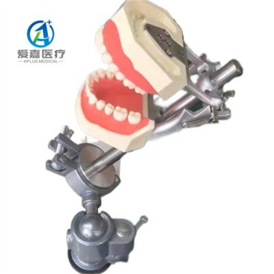 China Adjustable Dental School Typodont Desk Mount Dental Pole DP Articulator Bracket Compatible with Nissin, Kilgore, Frasaco, Columbia Dentoform for sale