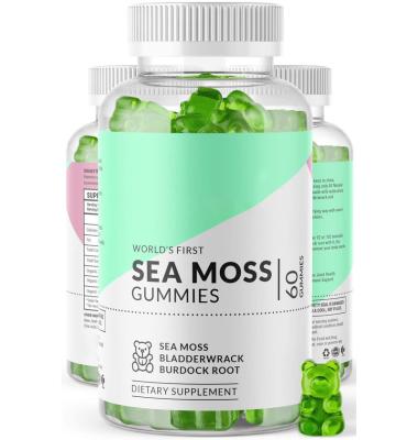 China Good quality natural gummy candy supports gummy immunity high cntent bear sea moss for sale