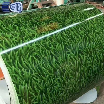 China Galvanized Steel Pipe Grass PPGI Color Coils Prepainted Steel Coil Printed Galvanized Steel Roll for sale