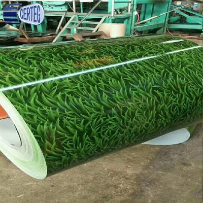 China Flower Printed Galvanized Steel Pipe China Manufacture Grass Pattern PPGI Galvanize Steel Coil for sale