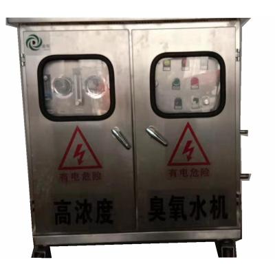 China Produce ozone water ozone generator machine machinery with ozone water capacity from 0.1-70 cubic meter/h for sale