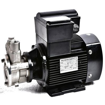 China Vortex Pump Flow 300-55000l Air Water Pump Ozone Water Pump Gas Mixing Liquid Mixing Pump for Sewage Treatment and of river for sale