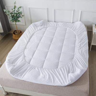 China Wholesale Custom Cheap Polyester Anti Quilted Dust Mites Anti Dust Mite Protector /Protector for sale