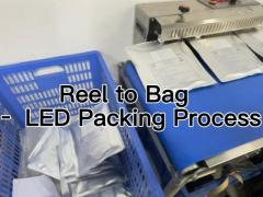 SMD2835 Green LED Diode | Reel-to-Bag Packing Process Display