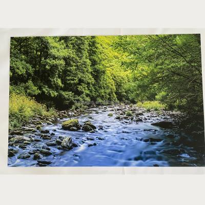 China Waterproof Waterproof Premium Wall Art Poster , CMYK Full Color Printing Poster for sale