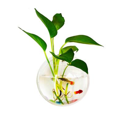 China Waterproof Wall Mounted Clear Acrylic Planter Wall Flower Pot Decorative Fish Tank for sale