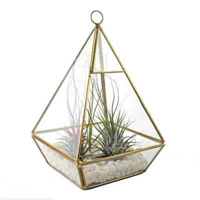 China Wholesale China Supplier CLASSIC Mini Geometric Glass Greenhouse for Home Decoration for sale