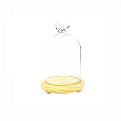 China Europe Trade Assurance Dome Glass Cloche With Wooden Base Good Price for sale