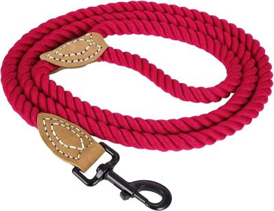 China Sustainable Cable Leash Rope Braided Climbing Rope Leash Twine for sale