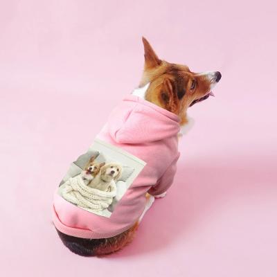 China Viable Design Dog Clothes 3d Image Dog Clothes Custom Printed Dog Hoodies Custom Printed Hoodies for sale