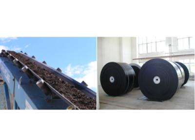 China High-temperature Resistance Conveyor Belt for sale