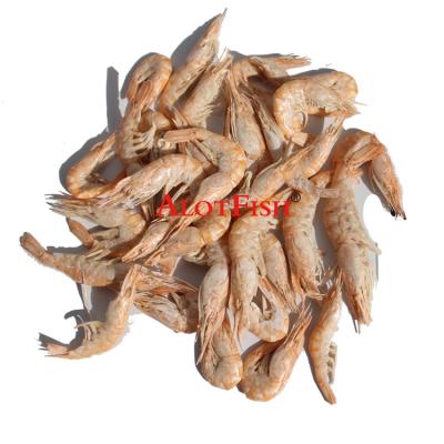 China Best Selling Sea Fishing Equipment Live Minnow Lures Shrimp Fishing With Good Action for sale