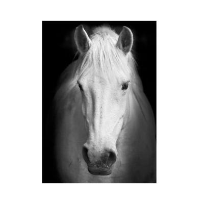 China Customized White Horse Diamond Painting Cross Stitch 5D DIY Diamond Painting Customization Full Drill Animal Kit for sale