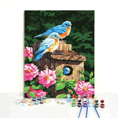 China Custom Realistic 24 Colors Europe 40*50cm Bird Framed Painting By Numbers Animals for sale