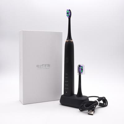 China Other Private Label OEM Sonic Automatic Wireless Charging Waterproof Electric Toothbrush for sale