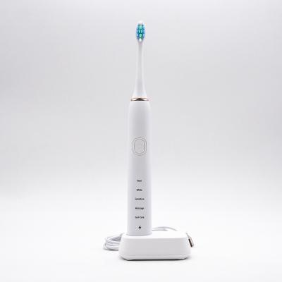 China Other Amazon Best Seller Electric Toothbrush Waterproof Smart Oral Care Sonic Automatic Toothbrush for sale