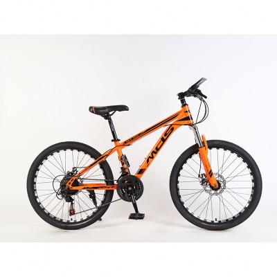 China Customized High Strength Steel Competitive Price Iron Frame Mountain Bike Customized Mountain Bike For Adults for sale