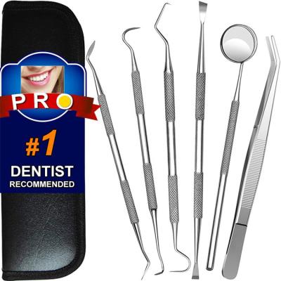 China Dentist Tool Kit Family Oral Care Tools Stainless Steel Scraper Tooth Pick Dental Hygiene Set Teeth Cleaning Tools For House Dogs for sale